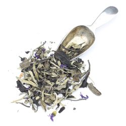  - 504. White Earl Grey (50 g puszka) - biała herbata Earl Grey - Piag The Fresh Tea - Piag Tea