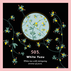 503. White Yuzu (150g) - White tea with intriguing Yuzu fruit - PIAG The Fresh Tea - 4
