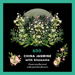 - 400.China Jasmine With Blossoms (250 g torba) - zielona herbata pachnąca kwieciem jaśminu - Piag The Fresh Tea - Herbaty PIAG