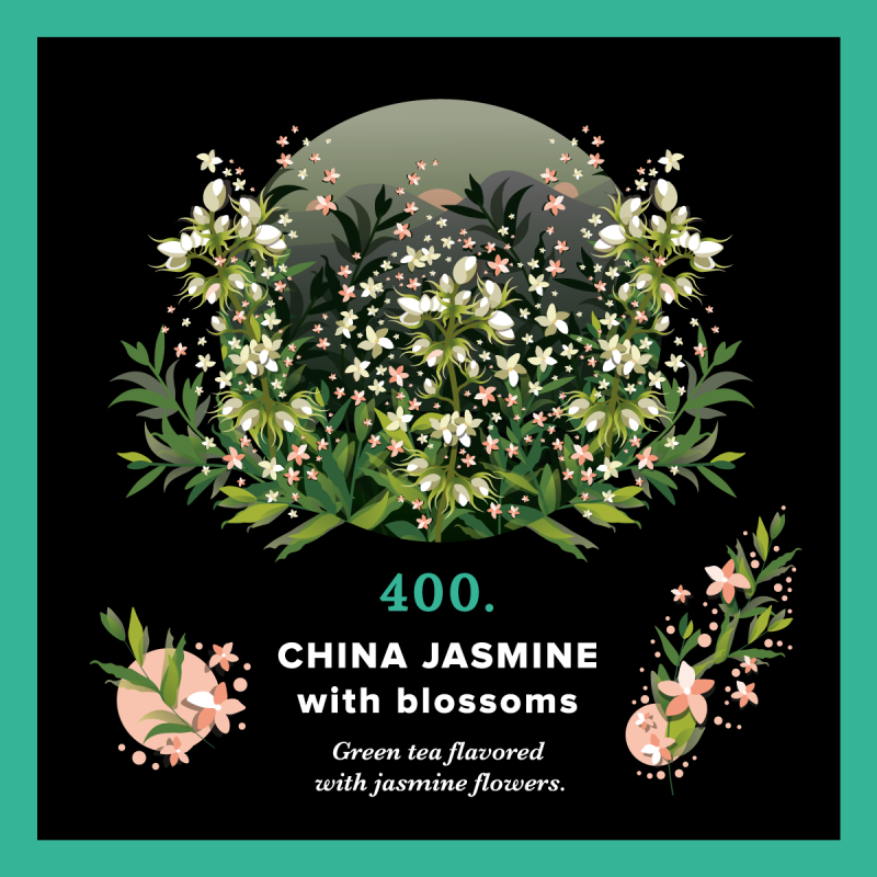 400.China Jasmine With Bloosom(250g) PIAG The Fresh Tea - 3