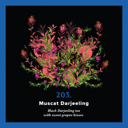 203.Muscat Darjeeling (250g) - außergewöhnlicher schwarzer Tee mit Traubengeschmack - PIAG The Fresh Tea - 3