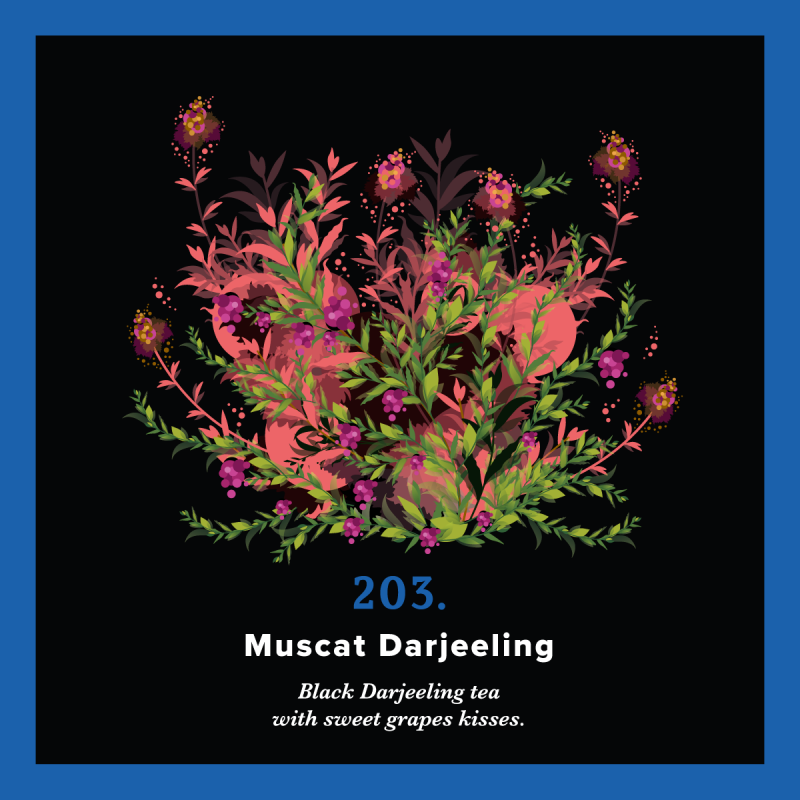 203.Muscat Darjeeling (250g) - unique black tea with grape flavor - PIAG The Fresh Tea - 3